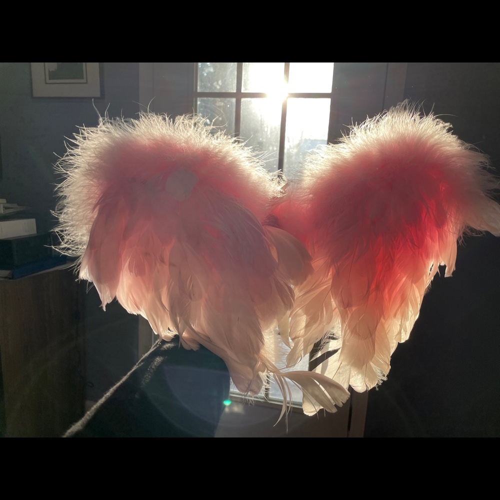 Pink Angel Wings for Small Child.